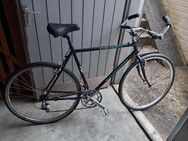 Bottecchia gravelbike 28 Zoll. 12 gang shimano. Cantilever bremsen. - Nürnberg