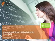 Wissenschaftliche*r Mitarbeiter*in (Post-Doc) - Wuppertal