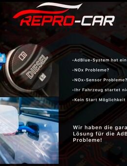 Adblue Reparatur Fehlerbehebung Softwarelösung - Leutenbach (Baden-Württemberg)
