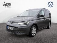 VW Caddy, 2.0 TDI Life, Jahr 2025 - Uelzen