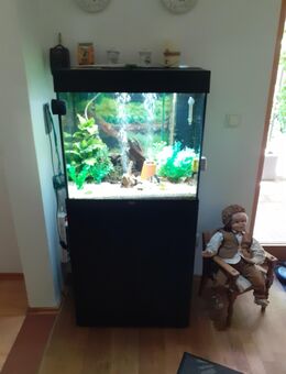 Aquarium komplett zu verkaufen - Oberammergau