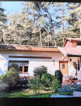 Traumhafter Bungalow, Wald, Sauna, Garage, Werkstatt, Keller, Abwasser, W-Lan uvm. - Zschepplin