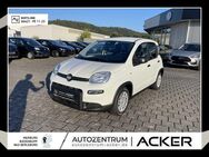 Fiat Panda, 1.0 NEU GSE Hybrid, Jahr 2024 - Bad Berleburg