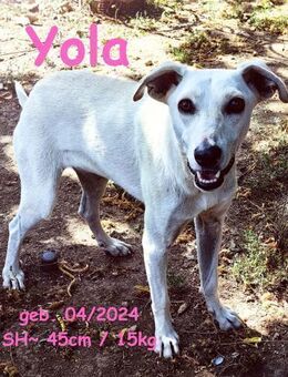 Yola - Unsere Mondfee - Rinteln