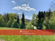 Maisonnette Wohnung im Allgäu Nähe Bodensee - Sigmarszell