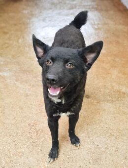 BILLIE möchte viel mehr entdecken - Schwabach