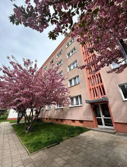 Sanierte und helle 3-Zimmer-Wohnung mit Wannenbad - Dessau-Roßlau