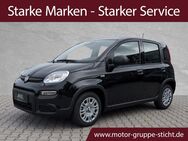 Fiat Panda, # # # # #, Jahr 2024 - Weiden (Oberpfalz)