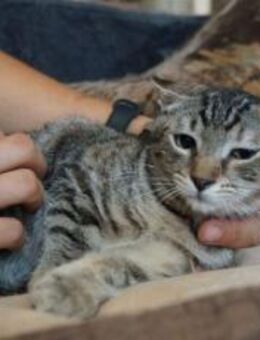 Luni ist bereit für ihr neues Zuhause! - München