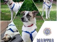 MARTHA * Frohnatur für Familie - Duisburg
