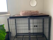 Hundebox zu verkaufen - Rommerskirchen