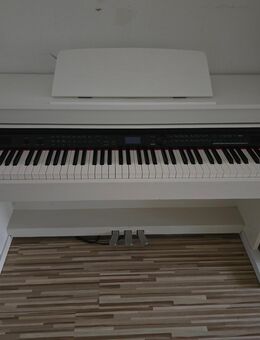 Klavier Cantabile - Hamburg