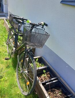 Trekkingrad mit praktischen Körben - Altenberg Geising