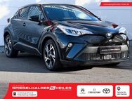 Toyota C-HR, 2.0 D EU6d Hybrid Team Deutschland, Jahr 2023 - Heidelberg