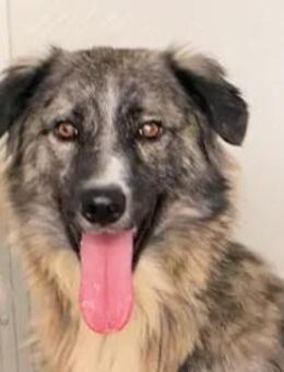 LORENTO - kein guter Start ins Leben ... - Regensburg