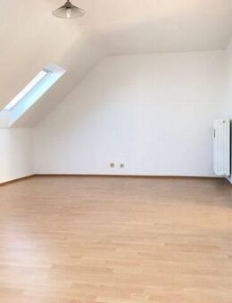Großes helles Apartment in zentraler Lage - Bonn
