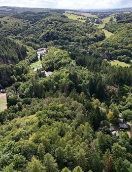 Naturcampingplatz in der Weinregion Nahe - mit Mietobjekten, Betreiberunterkunft und Restaurant - Berlin