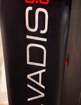 Laufband Hammer Q.Vadis 5.0 - Pulheim Zentrum