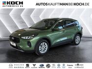 Ford Kuga, 1.5 EcoBoost Titanium Winterp, Jahr 2024 - Berlin