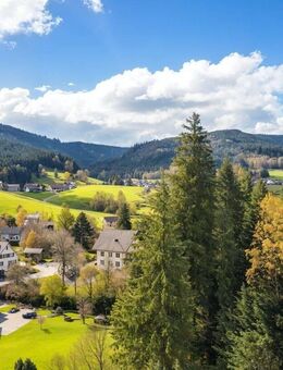 Weite statt Enge - gepflegtes Appartement mit Balkon und Aussicht im Schwarzwald - Baiersbronn