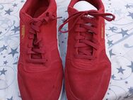 Puma Sneaker Gr. 48,5 - Harschbach