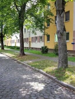 2-Raum Wohnung in ruhiger Wohnlage in Roitzsch zu vermieten - Sandersdorf Petersroda