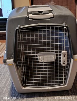 Gulliver Transportbox Gr XXL - Bensheim