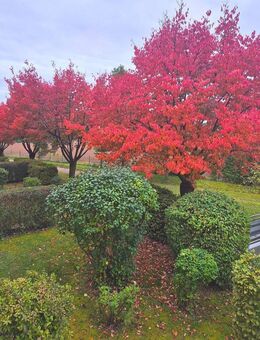 Genießen Sie Ihr Leben in einer barrierefreien und sonnigen Wohnung - oder investieren Sie in den Markt der Zukunft! - Fürstenfeldbruck