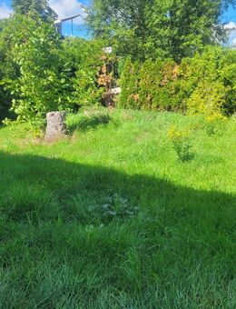 WG Zimmer Georgensgmünd - Georgensgmünd