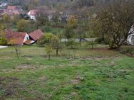 UNVERBAUBARE AUSSICHT IN RUHIGER LAGE - Grünsfeld