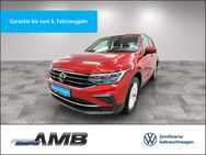 VW Tiguan, 2.0 TSI Life 02 2rantie, Jahr 2023 - Borna