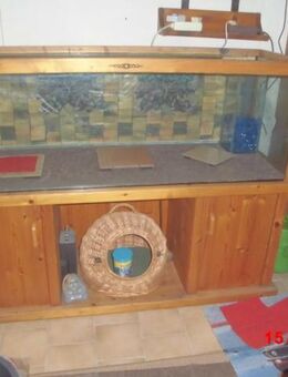 Aquarium Terrarium Aqua-Terrarium Quarantäne-Becken 375 Liter Unterschrank Abdeckung Massiv Holz Baujahr 1972 Bastler - Bottrop