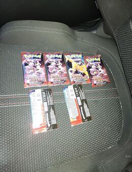 Pokemon Karten 14 Booster Packs Ewige Rivalen - Bad Camberg