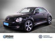 VW Beetle, 1.2 TSI Cup, Jahr 2014 - Brandis