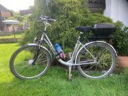 Damenfahrrad City-E-Bike - Lohfelden