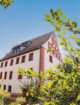 2 Raum Wohnung im Herzen von Grimma frisch renoviert - Grimma