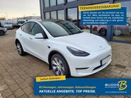 Tesla Model Y Long Range / 19 Zoll Gemini / Keyless - Warstein