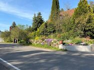 Einfamilienhaus mit Blick ins Grüne - Freiberg