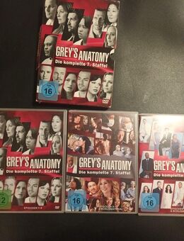 Grey's Anatomy: Die jungen Ärzte - Die komplette 7. Staffel | DVD - Essen