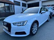 Audi A4 45 TDI Quattro V6 AUT. - MATRIX STANDHZ - Kassel