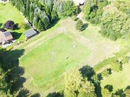 Großzügiges ehemaliges Bauernhaus mit angrenzender Scheune und Wiese, Pferdehaltung möglich! - Barenburg