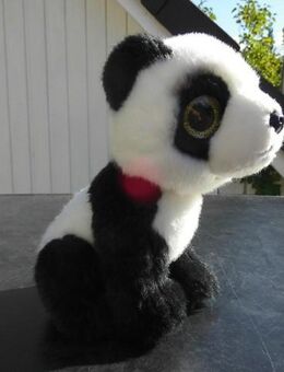 Panda Bär Plüschtier Glubschi Petjes World Kuscheltier Stofftier 3,- - Flensburg