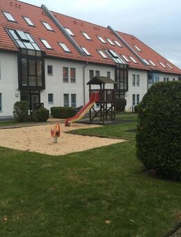 Wohnung 36,5qm, bezugsfrei, Berlin Teltow, Großbeeren - Großbeeren