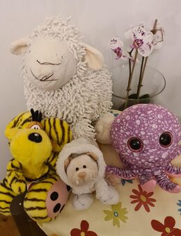 Kuscheltier Invaliden Club sucht liebevolles Zuhause Schaf Diddl Nici Krake Bär - Essen