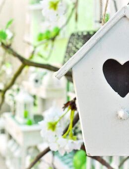 Top-gepflegte Split-Level-Doppelhaushälfte mit großer Terrasse in Gröbenzell-Nord - Gröbenzell