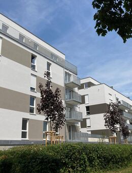 Wohnen im Dachgeschoss in Heilbronn Böckingen - Dachterrasse - Heilbronn