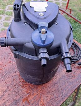 Klares Wasser für den Gartenteich - Alt Tucheband