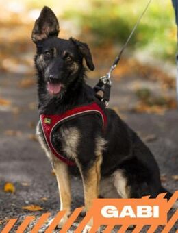 Gabi - wunderbar und niedlich - Berlin
