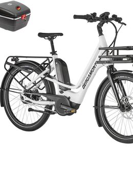 E-Bike Lastenfahrrad viel Zubehör, alles neuwertig, TOP - Tessin