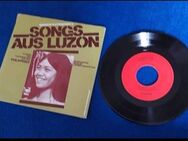 Vinyl Single Schallplatte - Landau (Pfalz)